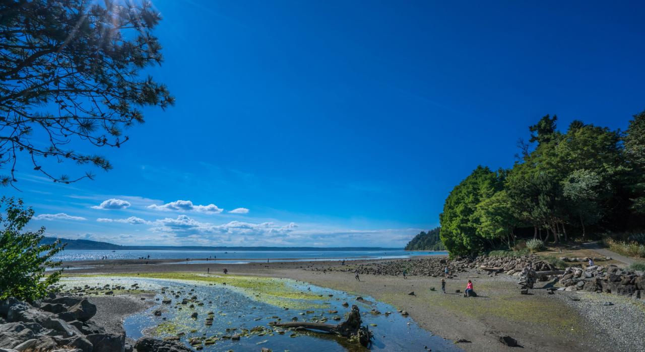 在得梅因海滩度过美好的一天 在得梅因海滩度过美好的一天