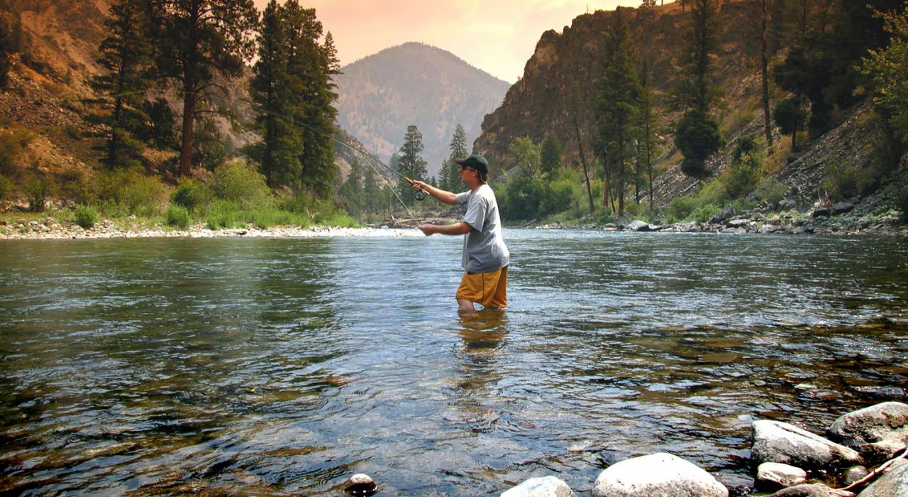 在爱达荷州的鲑鱼河上飞蝇钓 在爱达荷州的鲑鱼河上飞蝇钓