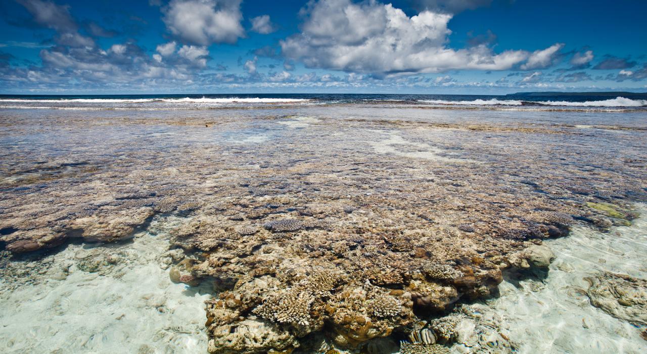 蓝洞洞穴潜水和卡拉贝拉钟乳石洞观光 蓝洞洞穴潜水和卡拉贝拉钟乳石洞观光