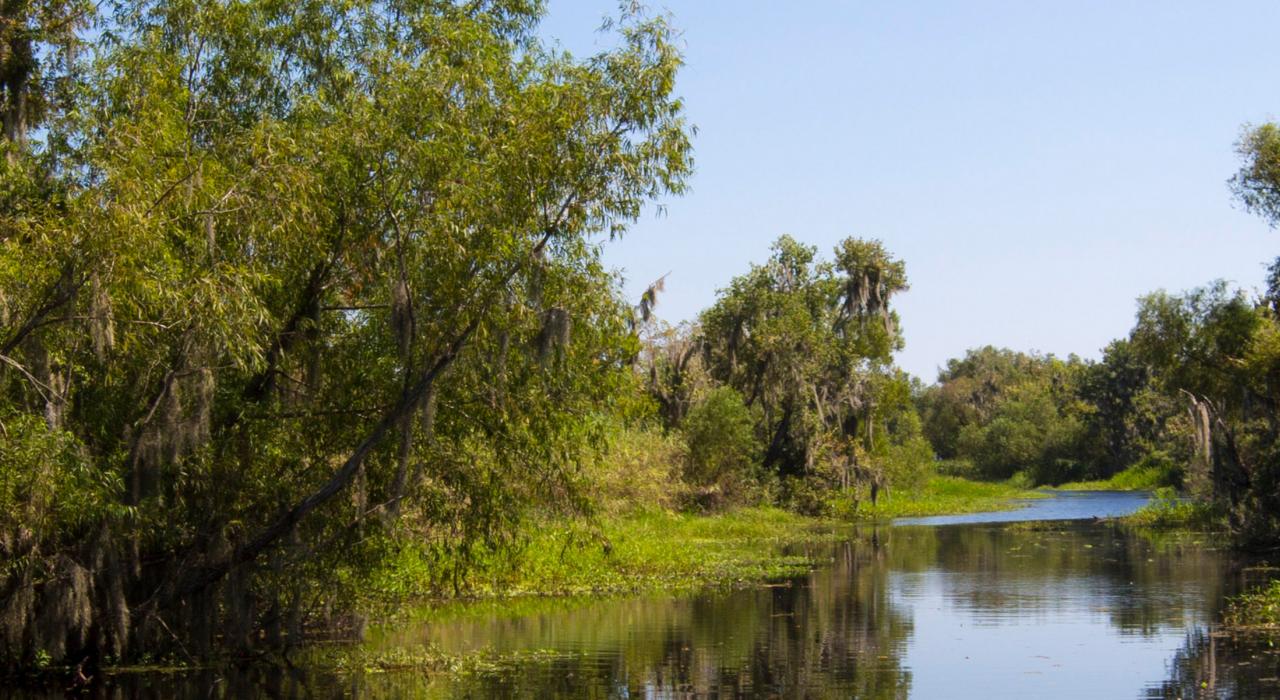 拉富什河口蜿蜒流淌的河水 拉富什河口蜿蜒流淌的河水