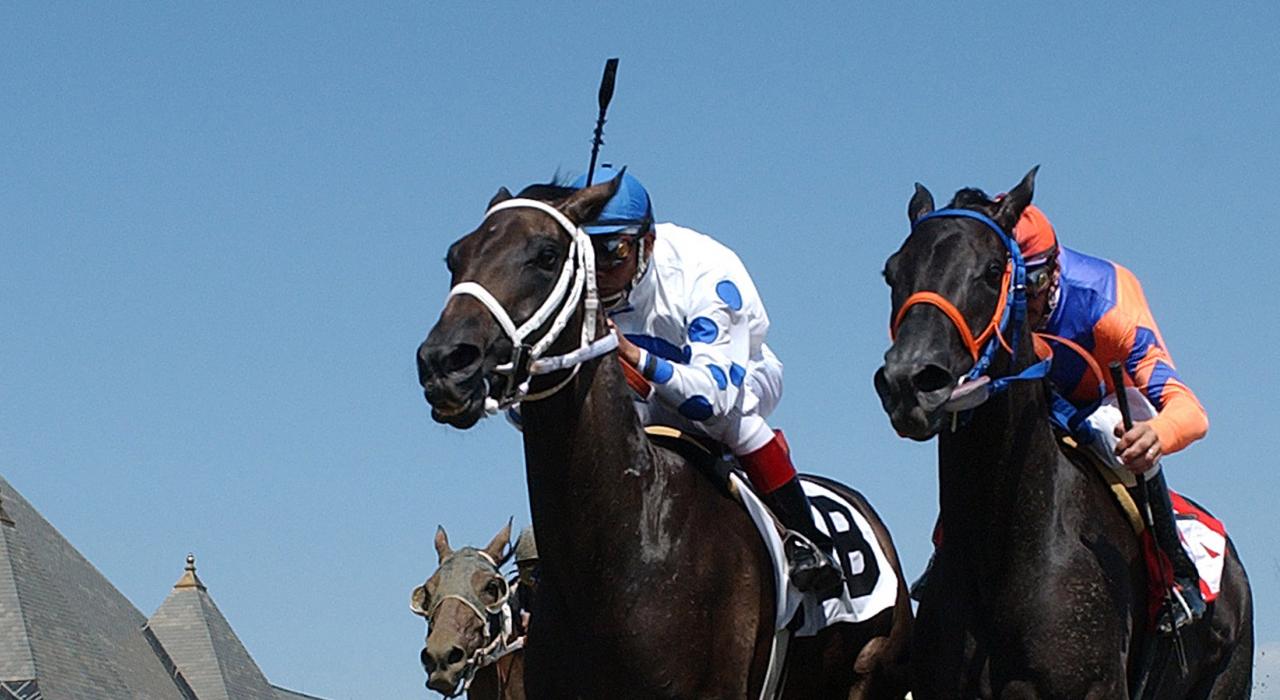 萨拉托加赛马场的一场比赛