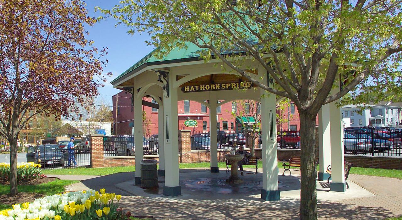 Hathorn Spring 温泉的迎客郁金香