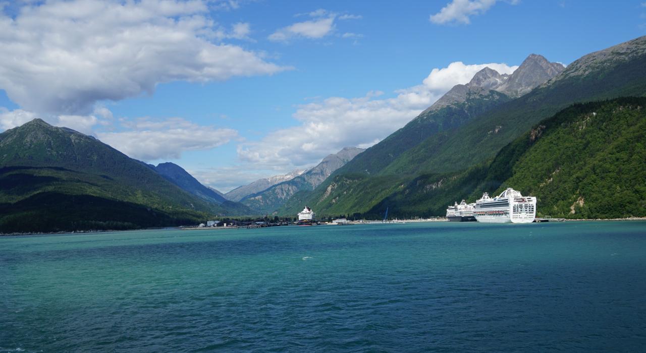 Day Trip: A Wildlife Cruise