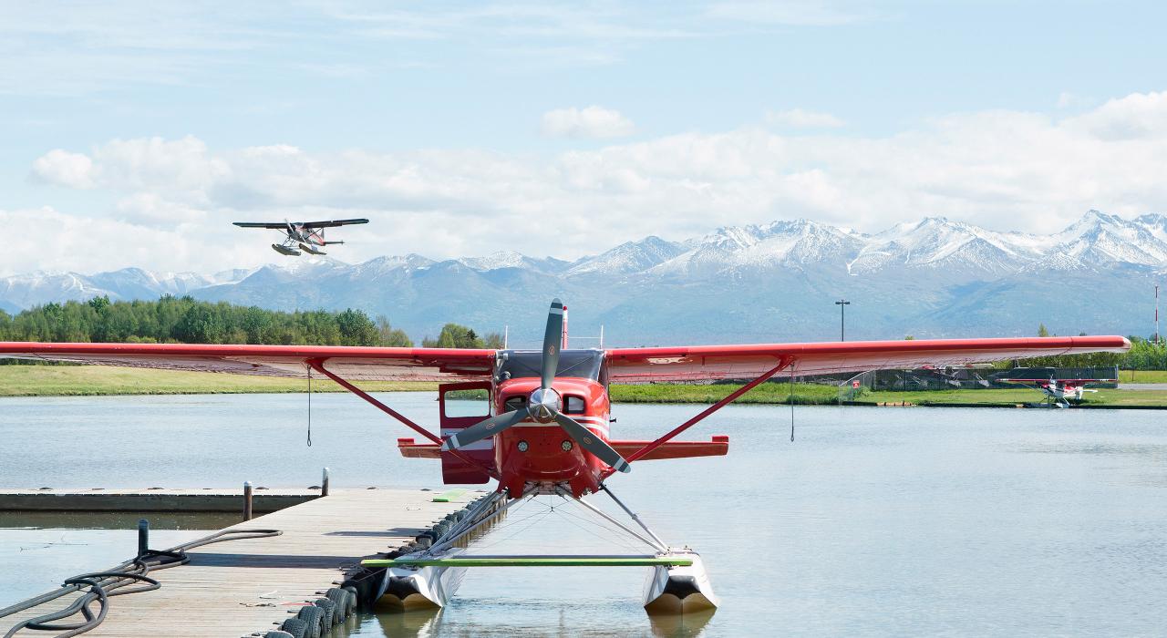 See Enormous Brown Bears in the Wild: Katmai National Park