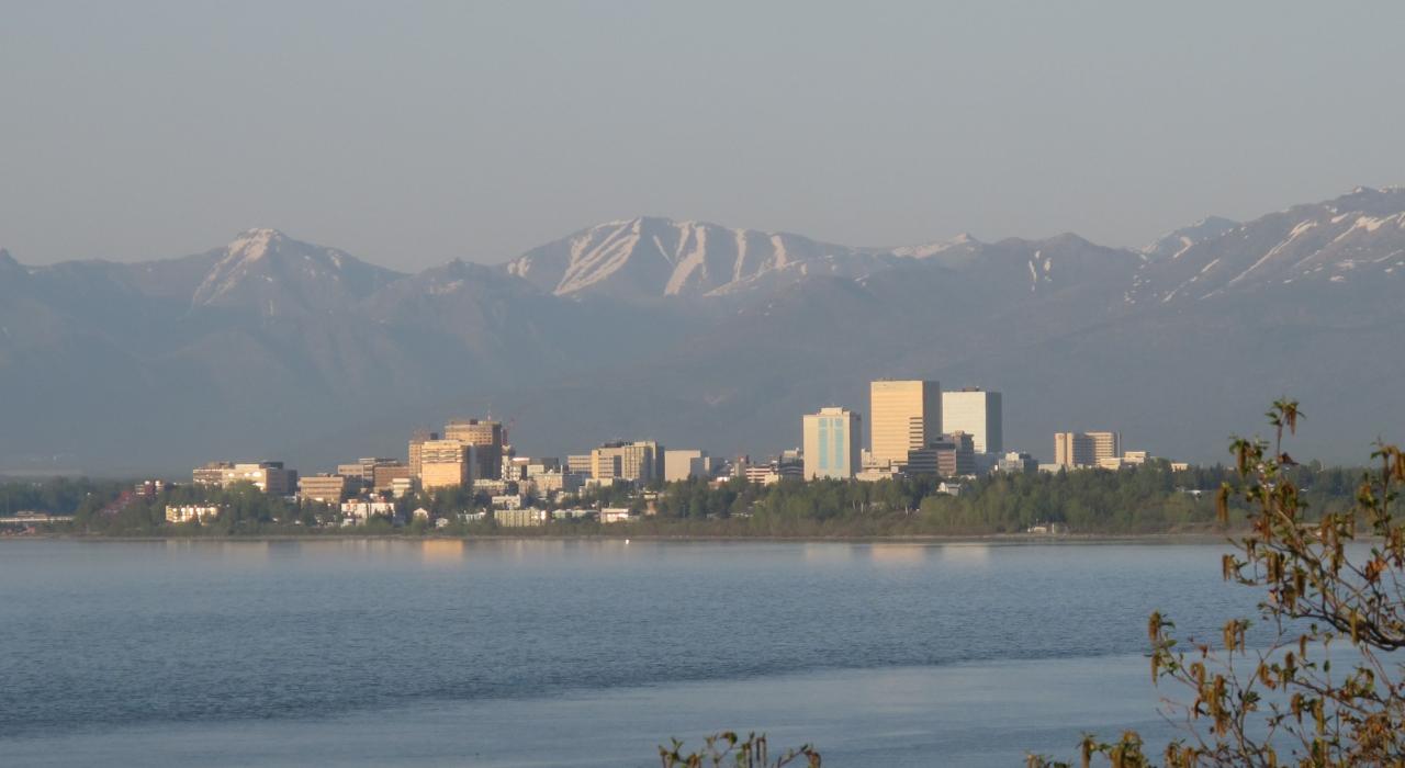 Explore the Big City's Culinary Variety