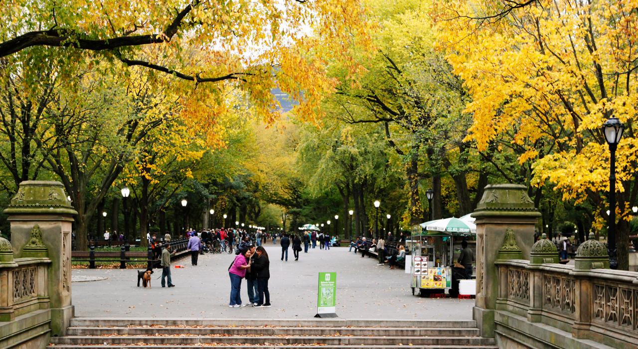 中央公园中心地区热门的聚会地点毕士大平台 中央公园中心地区热门的聚会地点毕士大平台