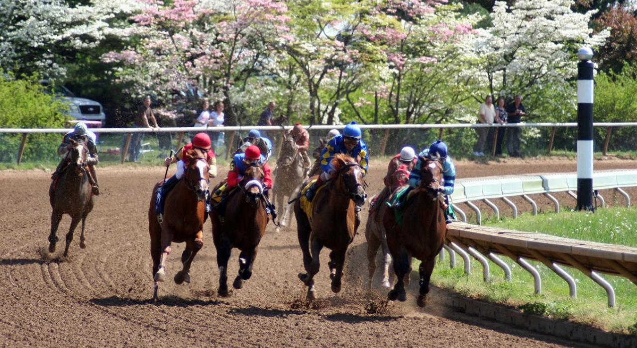 肯塔基州基恩兰赛马场的一场赛马比赛中,纯种马向终点线飞奔而去 肯塔基州基恩兰赛马场的一场赛马比赛中,纯种马向终点线飞奔而去