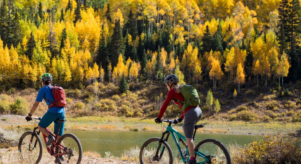 Brilliant colors of fall greeting cyclists following trails through a forest  Brilliant colors of fall greeting cyclists following trails through a forest