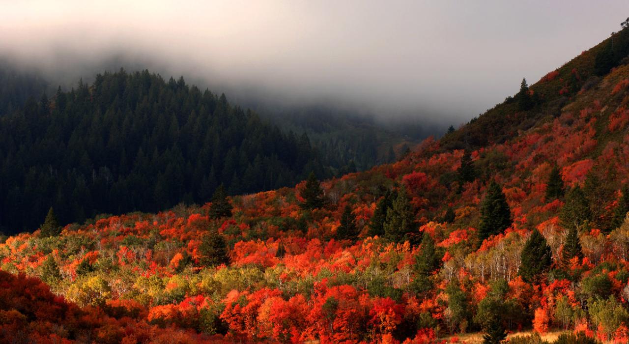 Autumn colors at sunrise