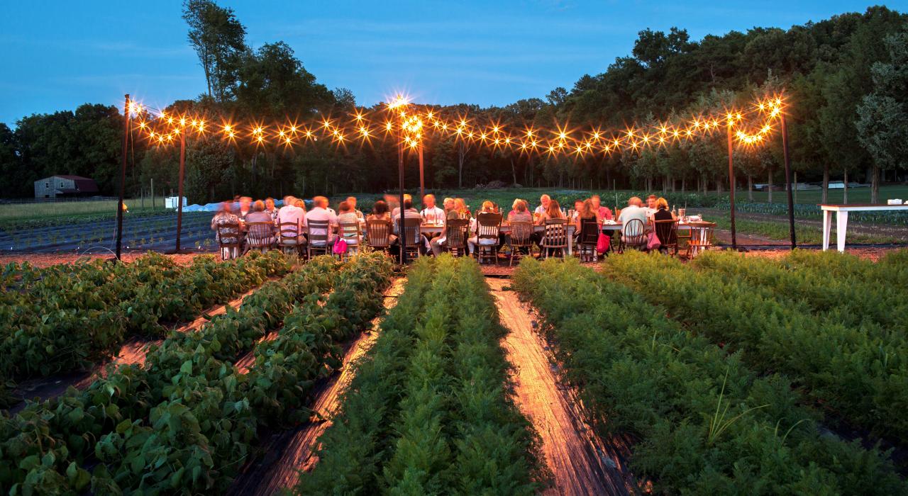 在 Victory Farms 农场的田间地头享用户外晚餐 在 Victory Farms 农场的田间地头享用户外晚餐