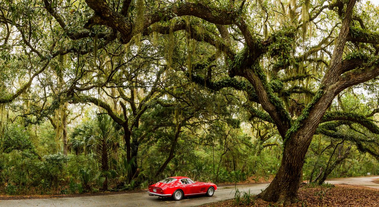驱车沿着两边种着活橡树的林荫道路徜徉