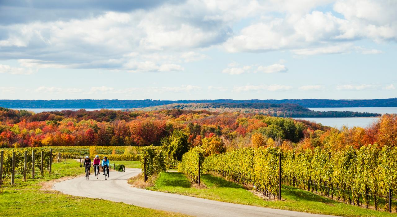一条穿过密西根州特拉弗斯城葡萄园的自行车道沿途享有迷人秋景 一条穿过密西根州特拉弗斯城葡萄园的自行车道沿途享有迷人秋景
