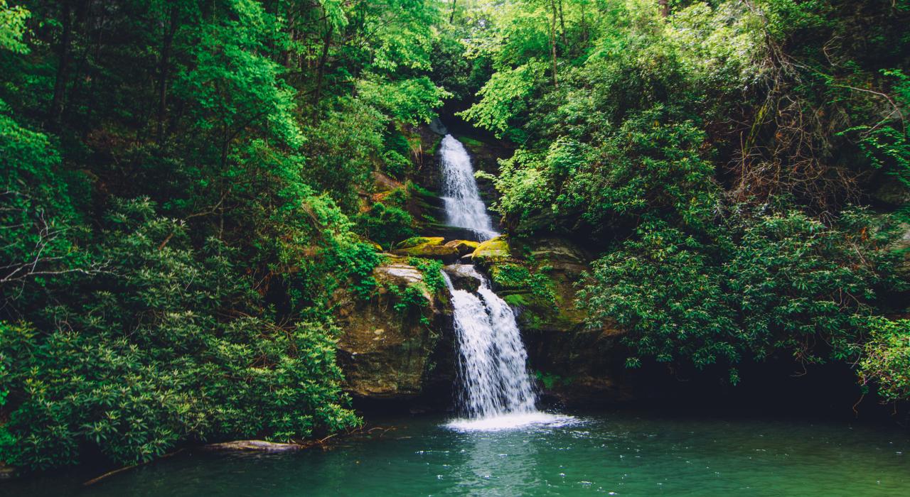 南卡罗来纳州德弗尔斯弗克州立公园内的瀑布 南卡罗来纳州德弗尔斯弗克州立公园内的瀑布