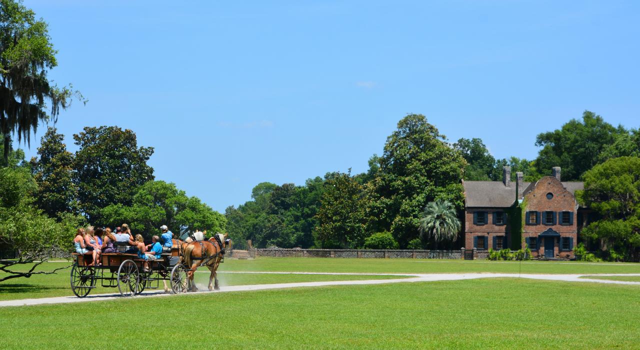 乘马车游览南卡罗来纳州查尔斯顿的米德尔顿广场花园