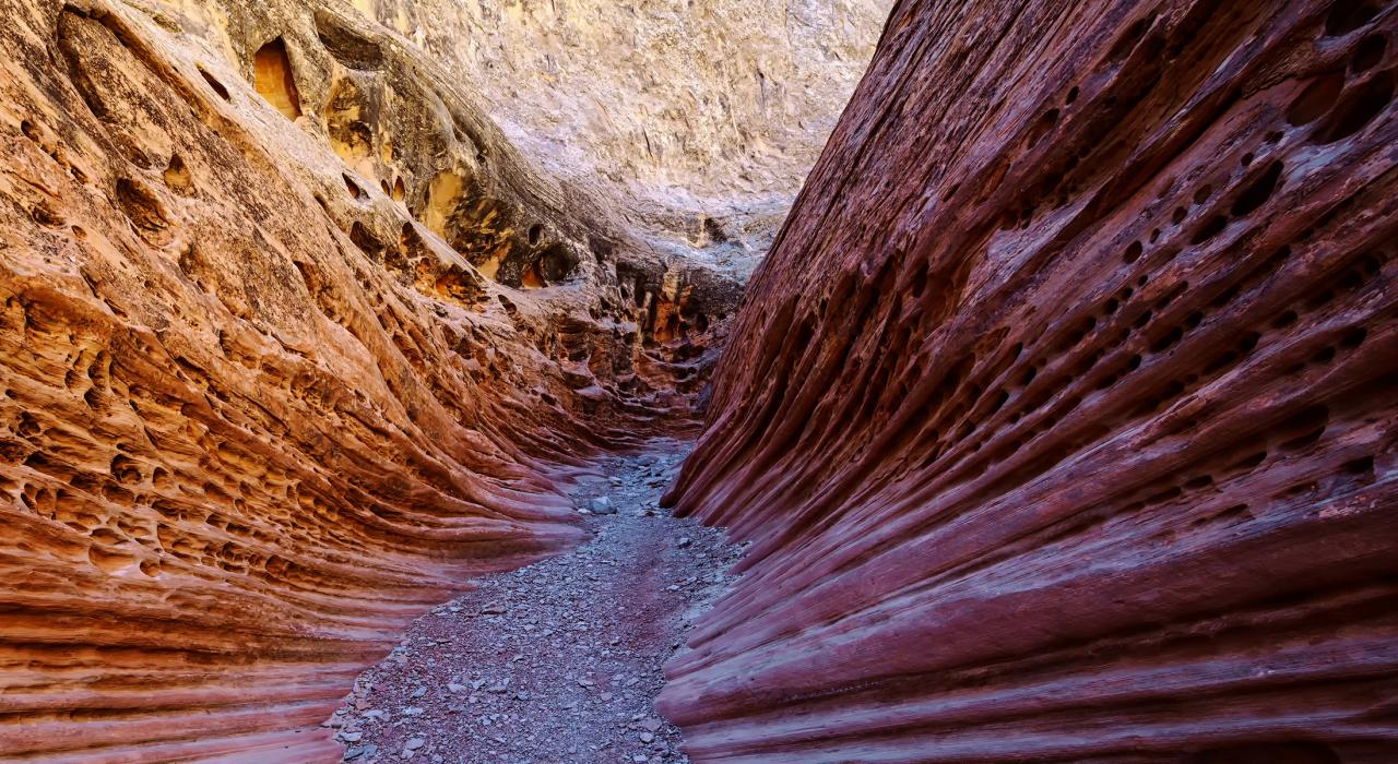 徒步小径穿过犹他州圣拉斐尔丘的小野马峡谷