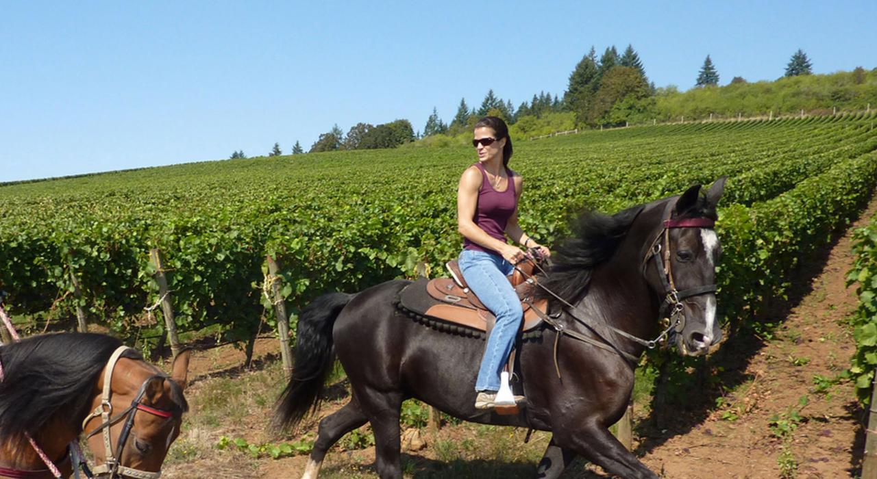 坐在马背上游览威拉米特河谷的酒庄 坐在马背上游览威拉米特河谷的酒庄