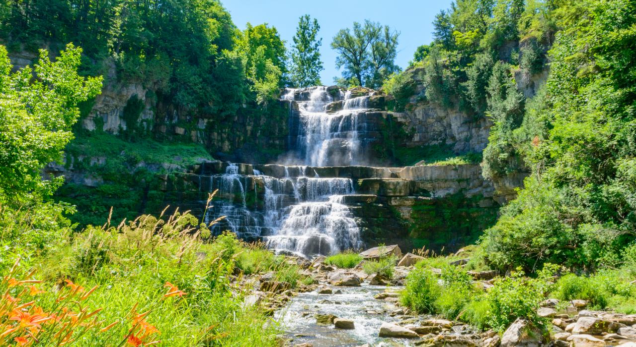 奇特南戈瀑布州立公园内的瀑布