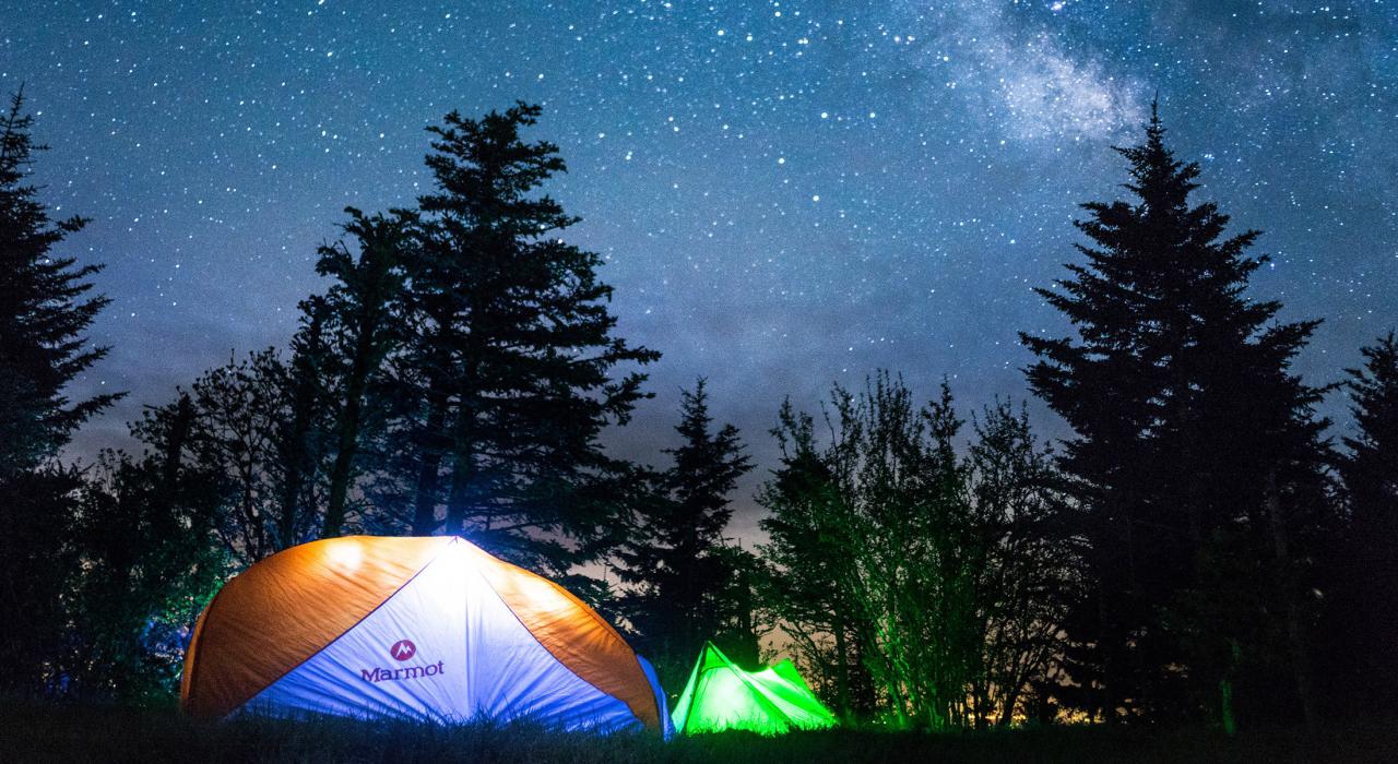 在北卡罗来纳州皮斯加国家森林内露营