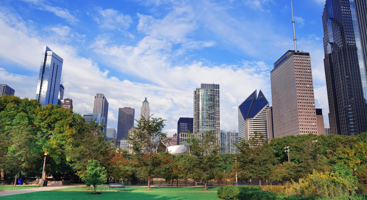 在格兰特公园的绿地上可以看到市区中心