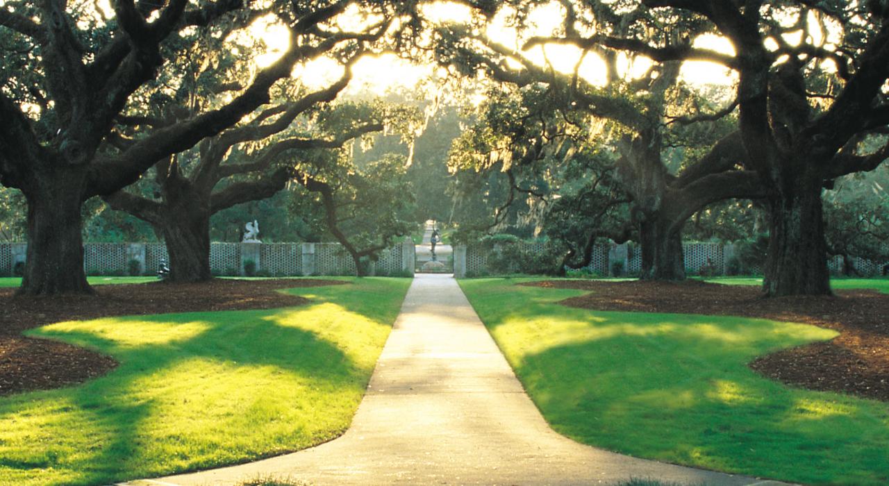 羊肠小道 羊肠小道