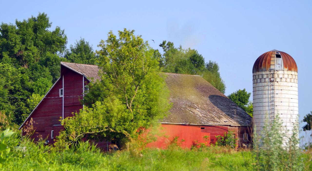 Strawbale酒庄 Strawbale酒庄