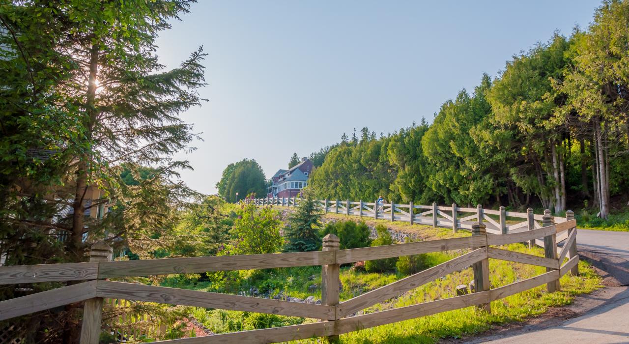 边骑边欣赏风景
