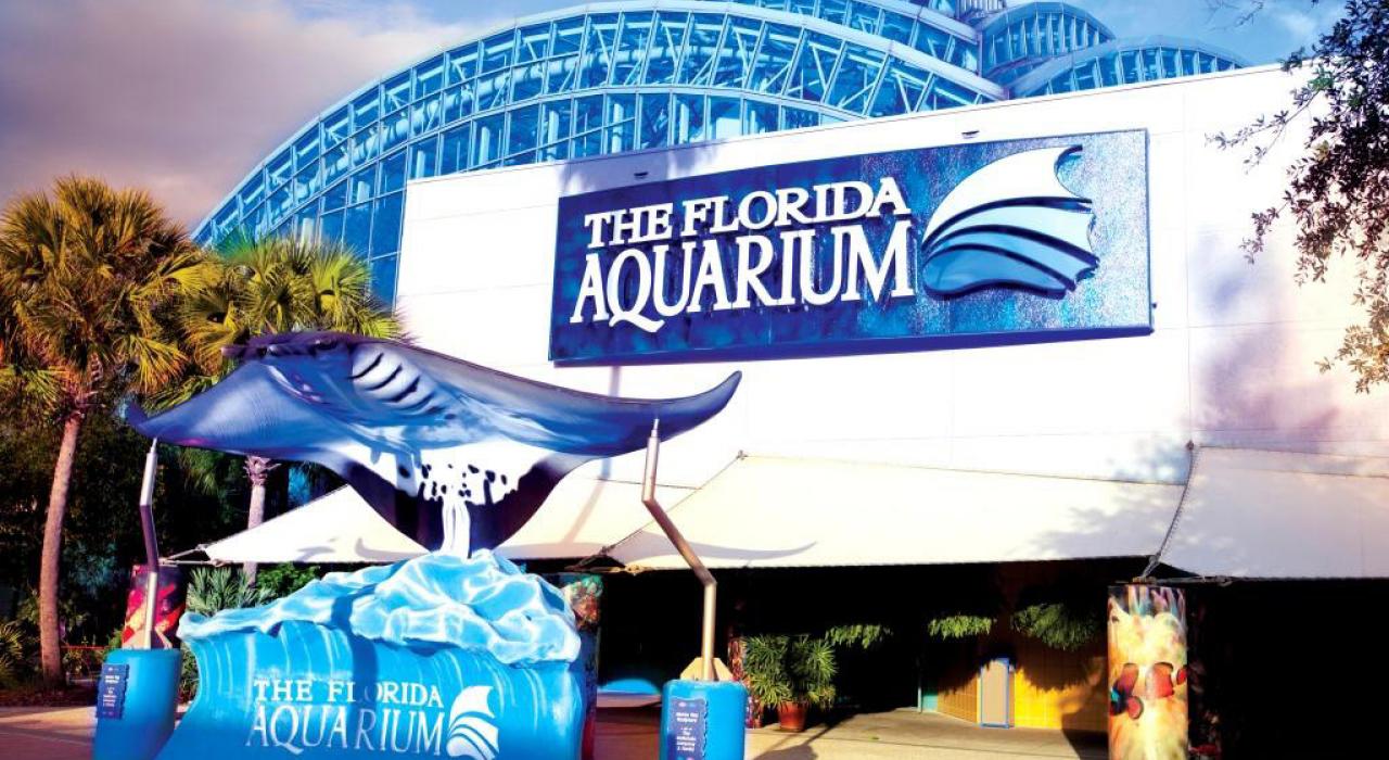 阳光下的佛罗里达水族馆