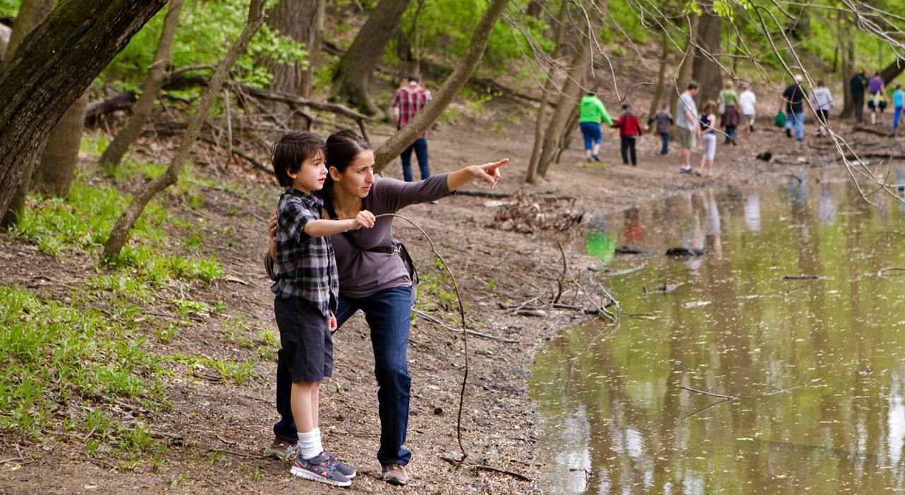 Exploring the woodlands at the Hal Tyrell Trailside Museum Exploring the woodlands at the Hal Tyrell Trailside Museum