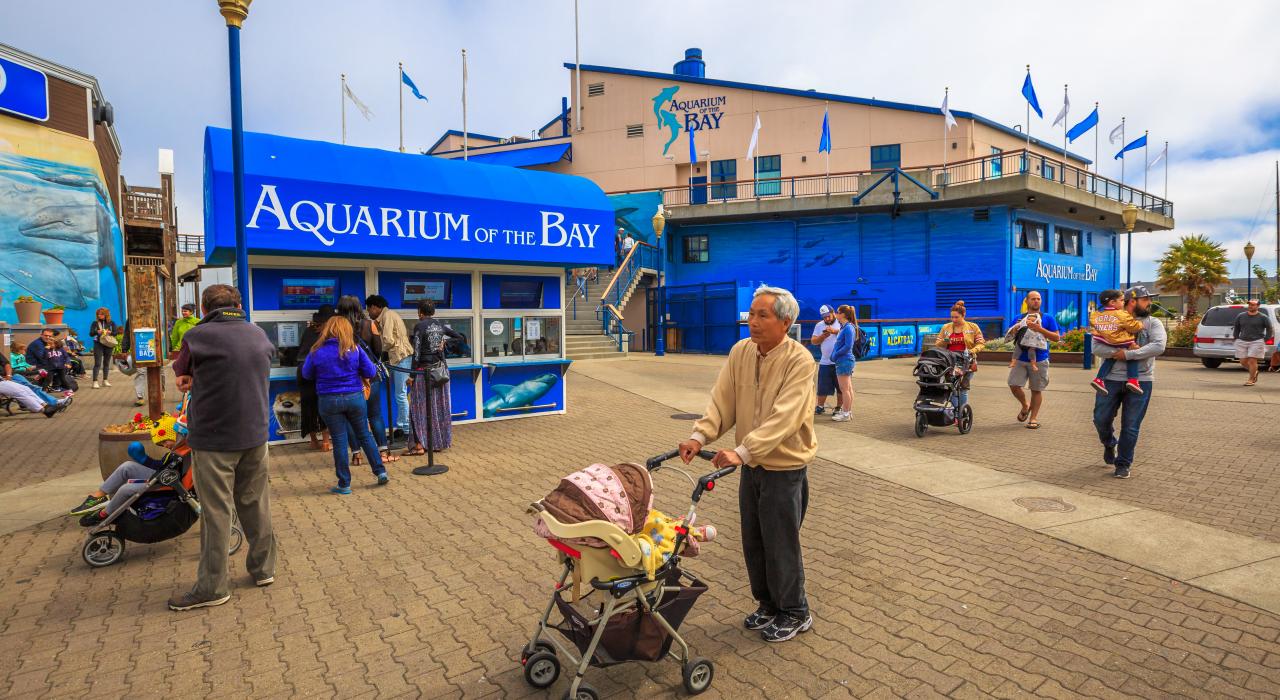 在旧金山水族馆排队买票的人们 在旧金山水族馆排队买票的人们