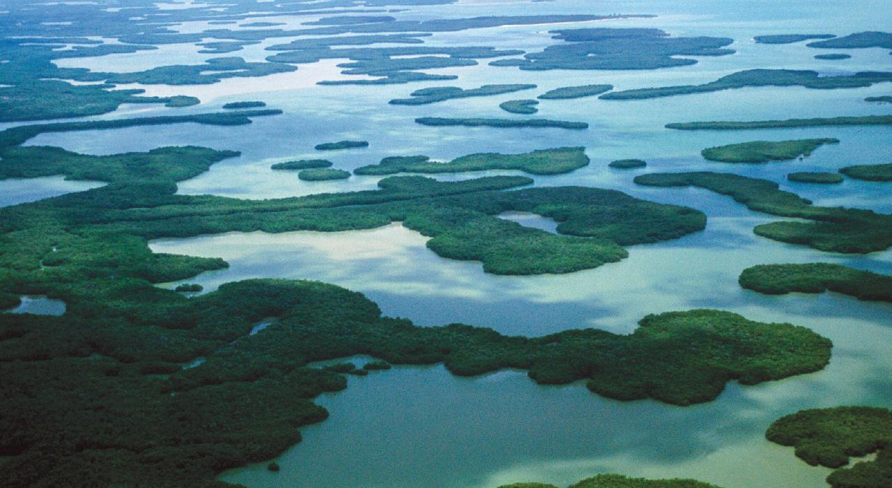 佛罗里达大沼泽地
