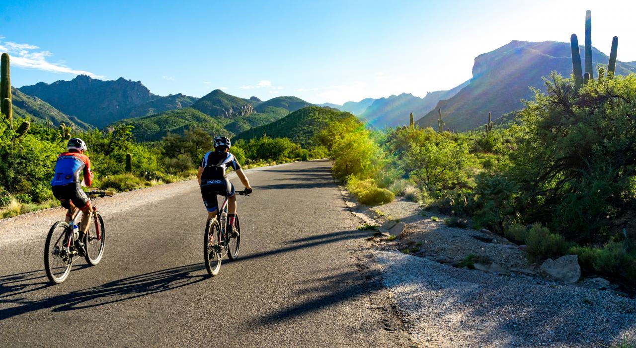 山地自行车手在图森风景小道上徜徉。