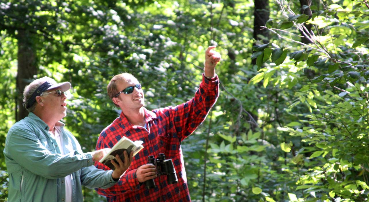 布莱克河沿岸的观鸟远足 布莱克河沿岸的观鸟远足