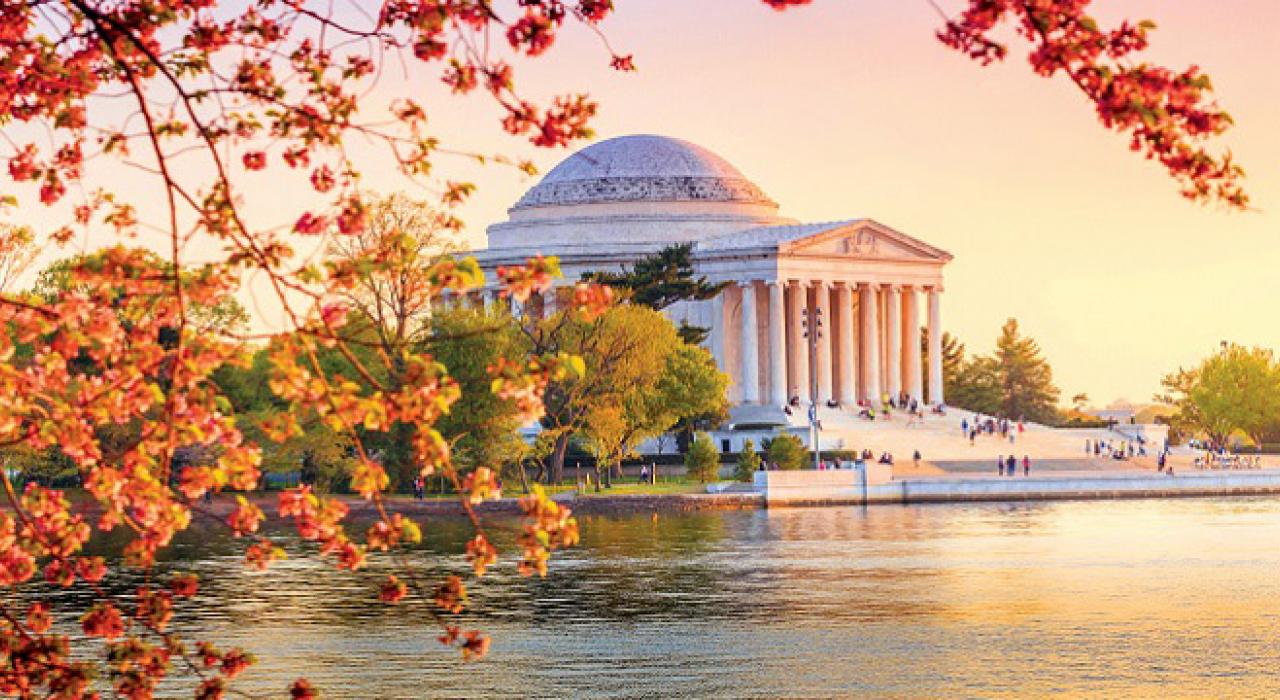 杰佛逊纪念堂的樱花