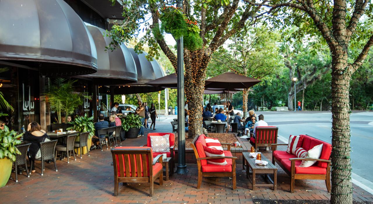 椰林区的波希米亚海湾精神