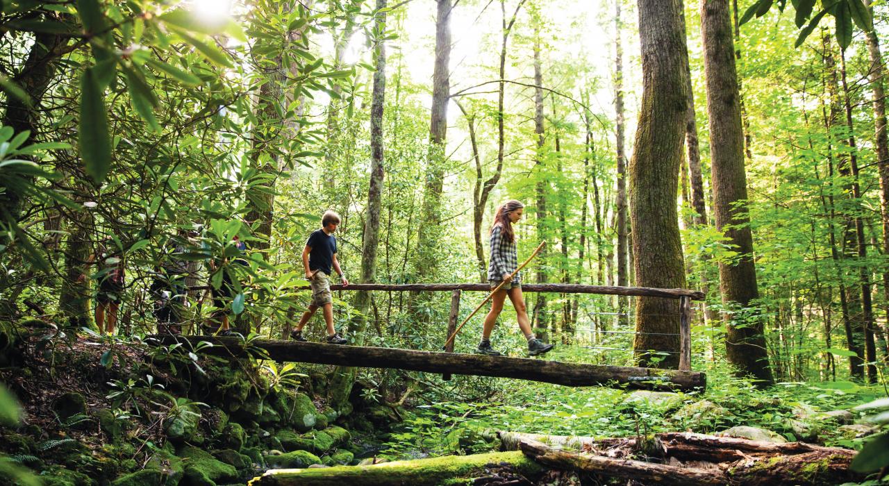 在大烟山国家公园沿着步桥徒步旅行