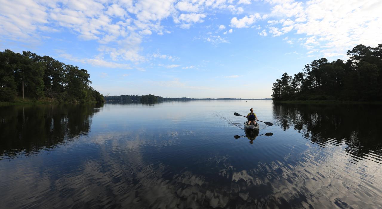 在路易斯安那州亚历山大市郊外的吉赛奇国家森林划皮艇