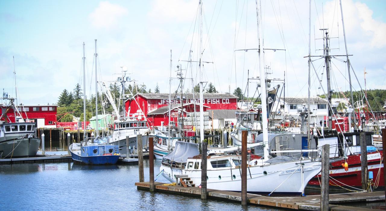 渔业小镇 Port of Ilwaco 港的宁静码头