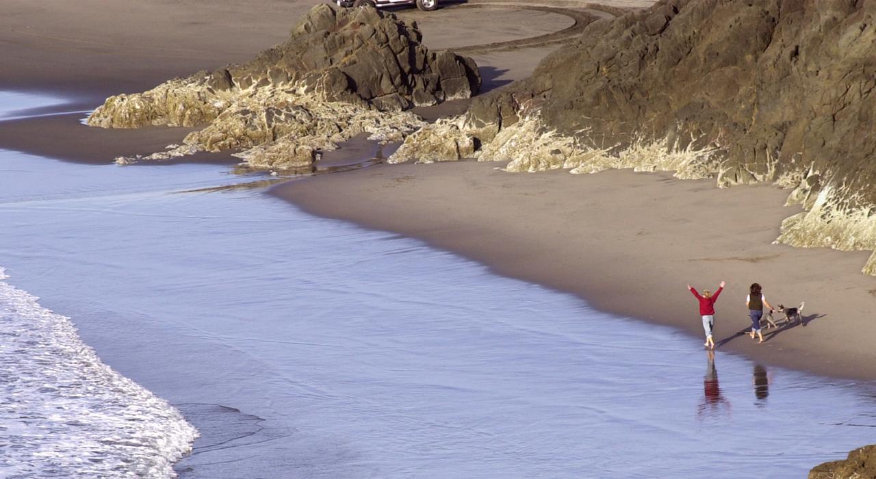 半岛南端一段宁静的海滩——Beards Hollow