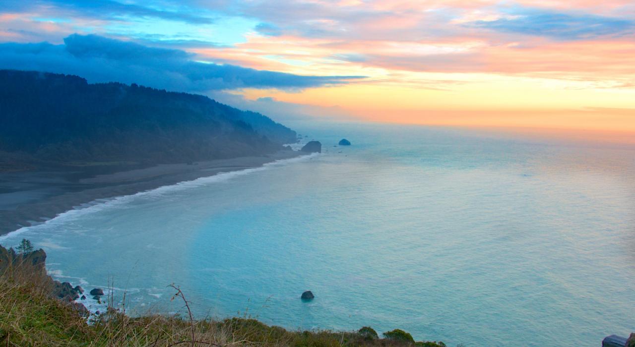 Van Damme州立公园,加州 Van Damme州立公园,加州