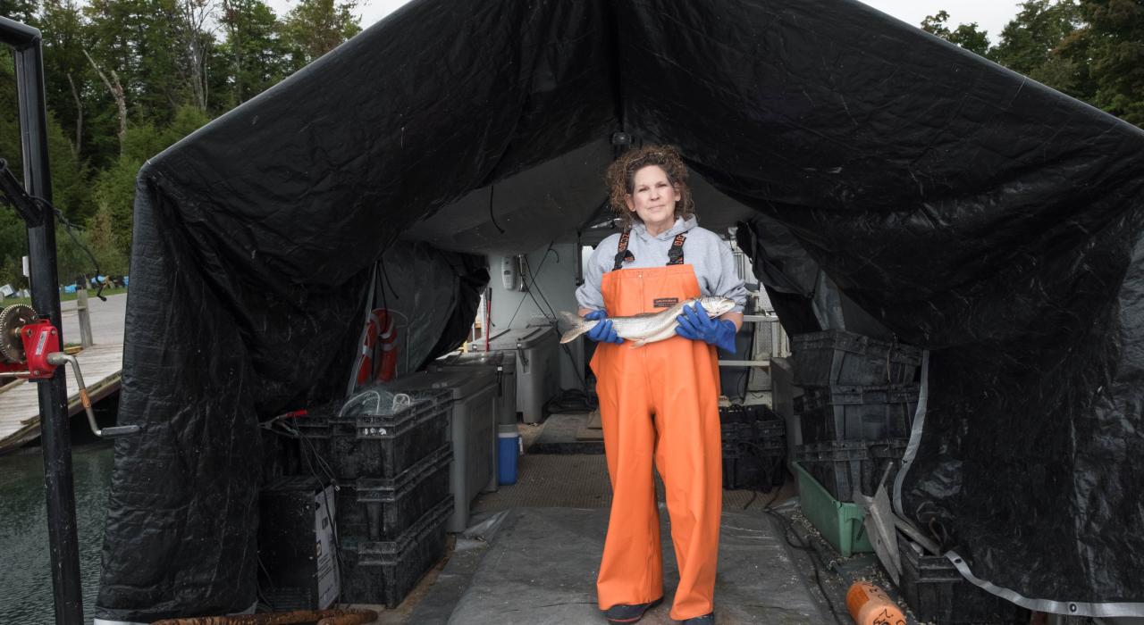 特拉弗斯城当地人