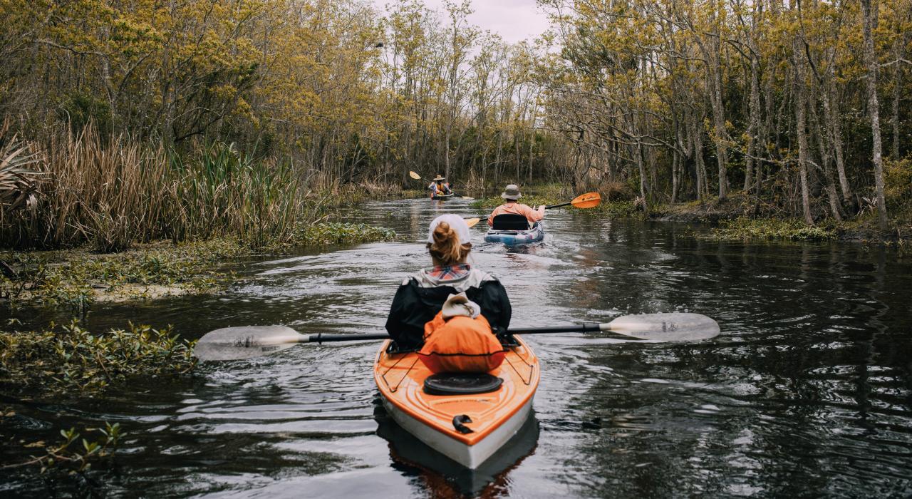 Kayaking tour on an Atchafalaya Basin waterway near Lafayette, Louisiana