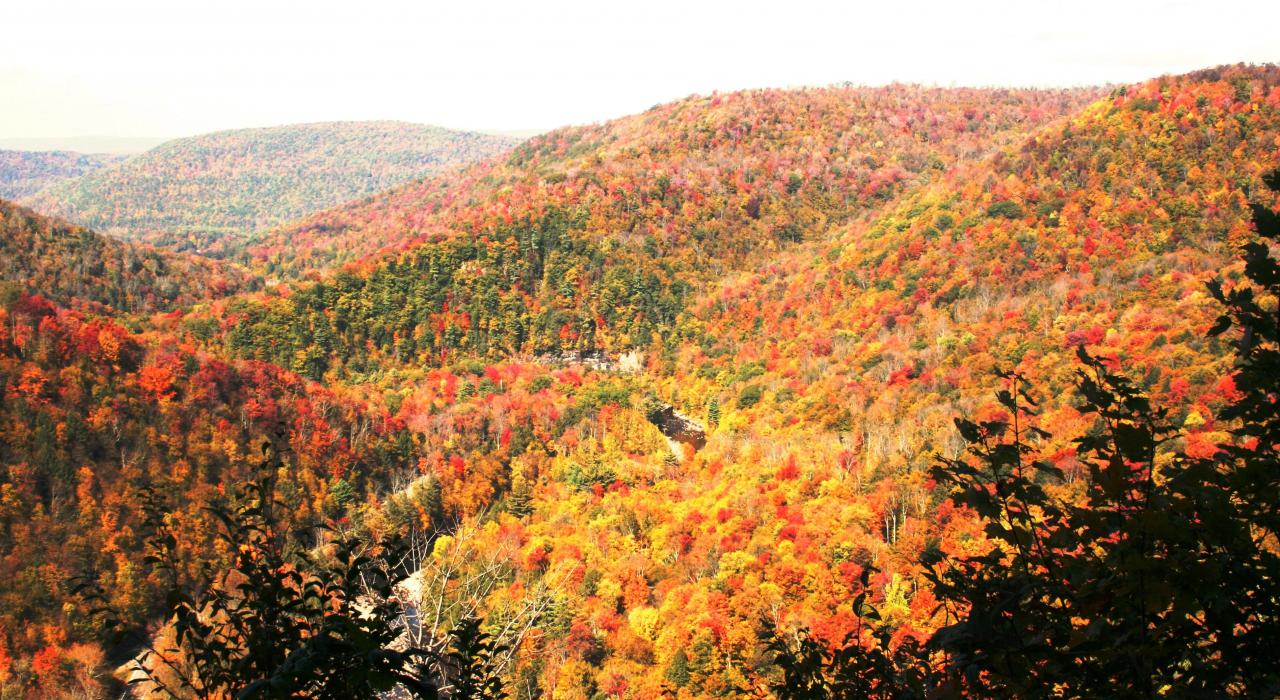 秋叶渲染的宾夕法尼亚州恩德莱斯山 秋叶渲染的宾夕法尼亚州恩德莱斯山