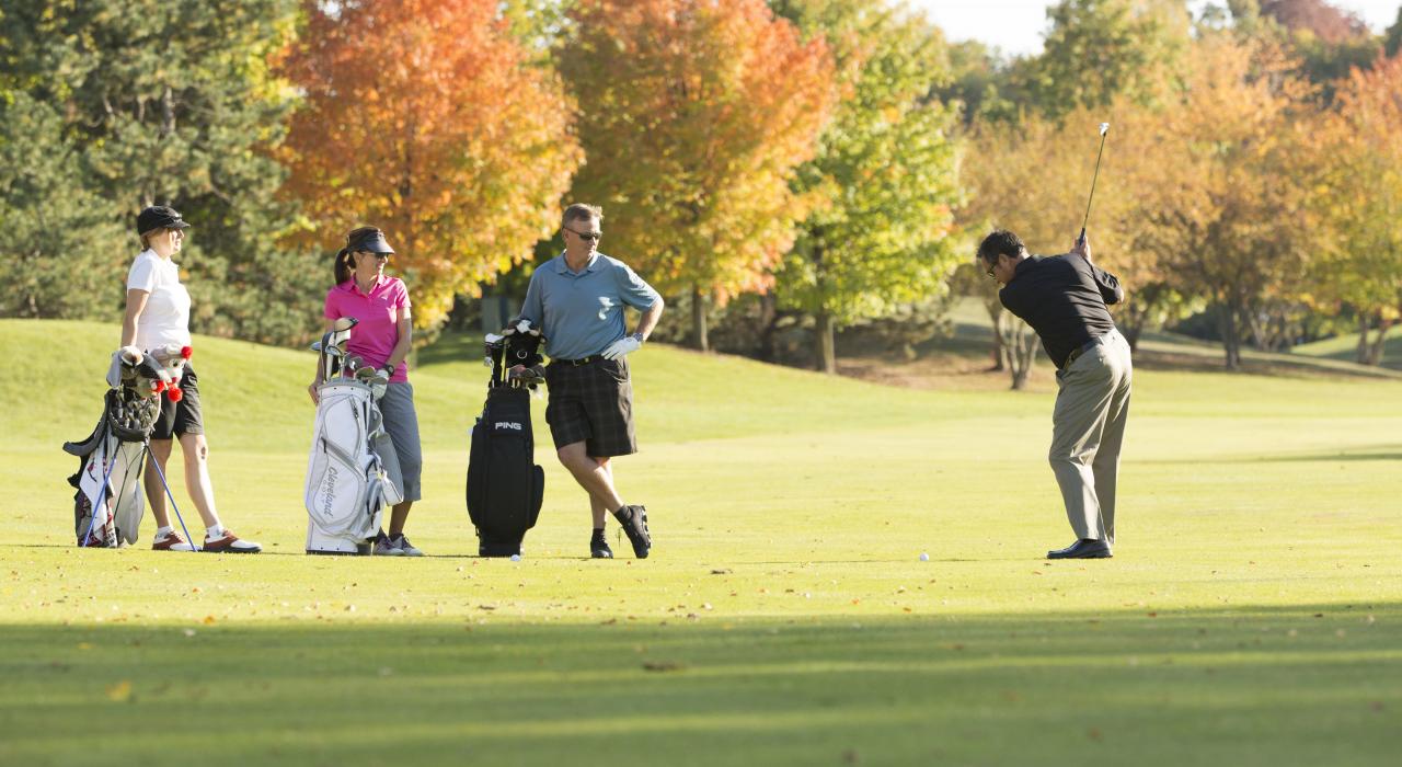 在 Aldeen 高尔夫俱乐部从球道瞄准果岭击球 在 Aldeen 高尔夫俱乐部从球道瞄准果岭击球