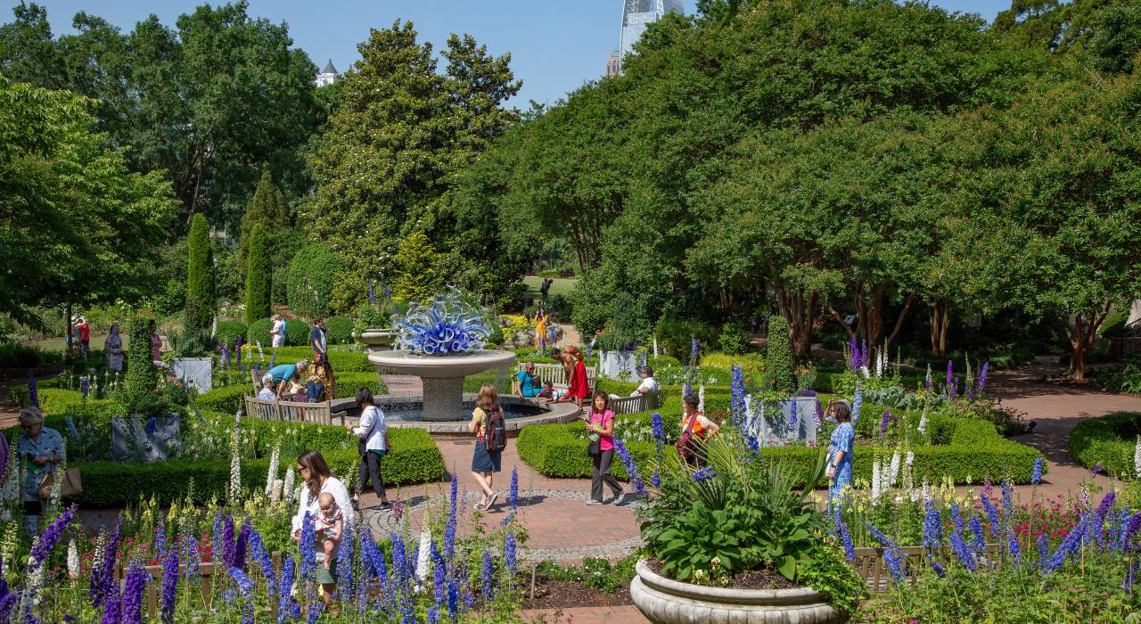 漫步在亚特兰大植物园景色绚丽的小道上