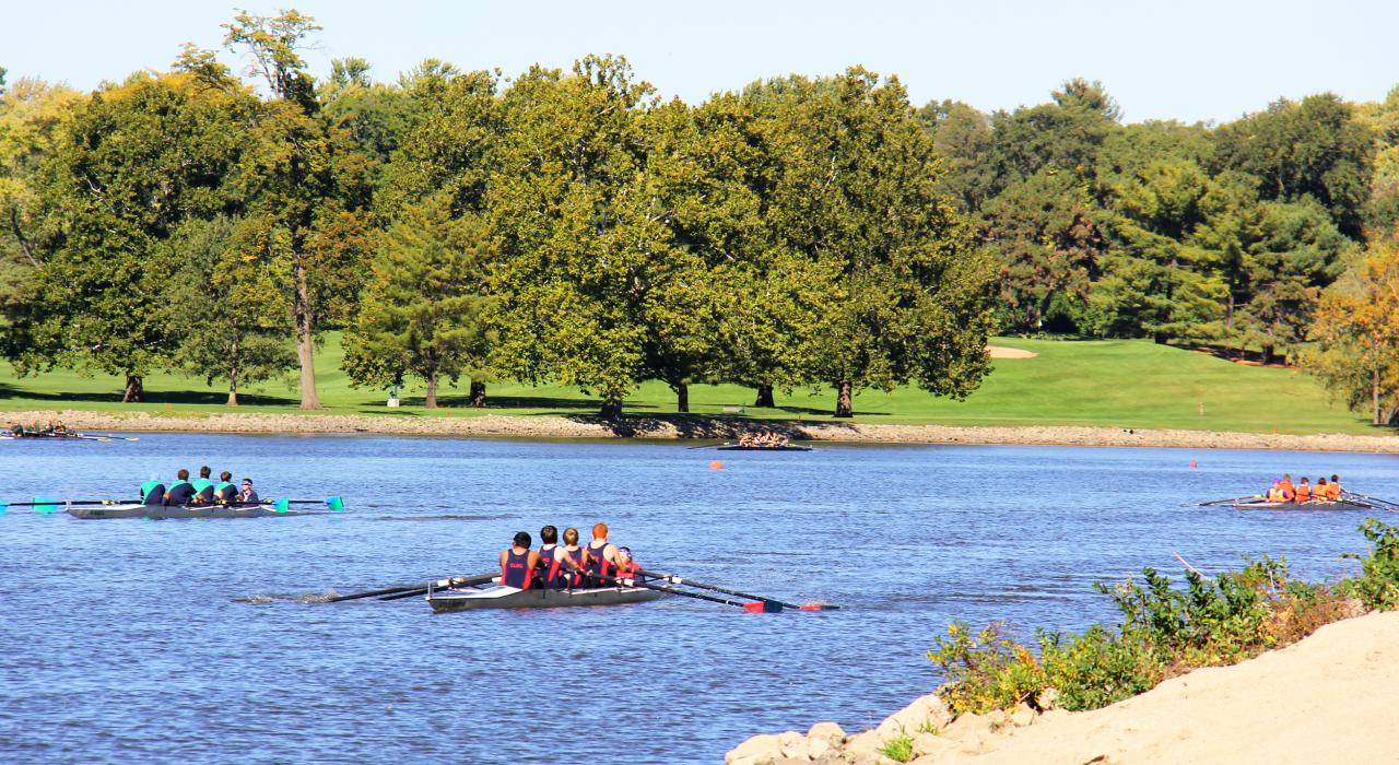 观看罗克河进行的罗克河划船比赛 观看罗克河进行的罗克河划船比赛