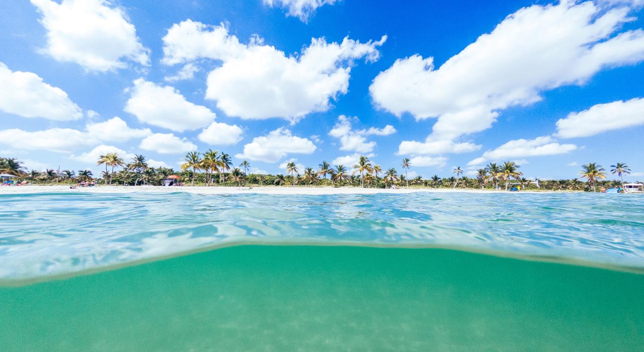  佛罗里达州东南部大罗德岱堡最秀美的大西洋海岸沙滩之一