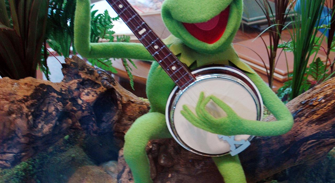 青蛙卡米特的发源地