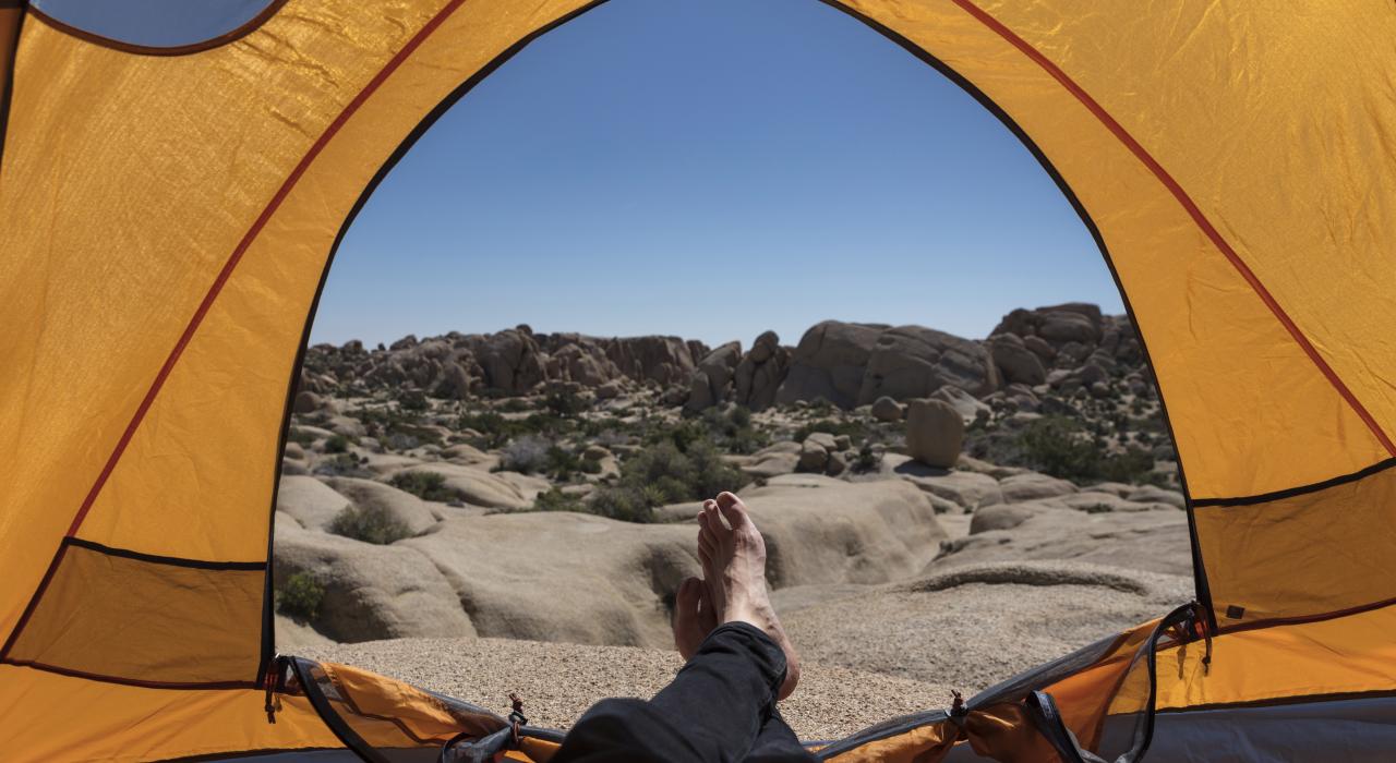 在加利福尼亚州的约书亚树国家公园欣赏迷人风景