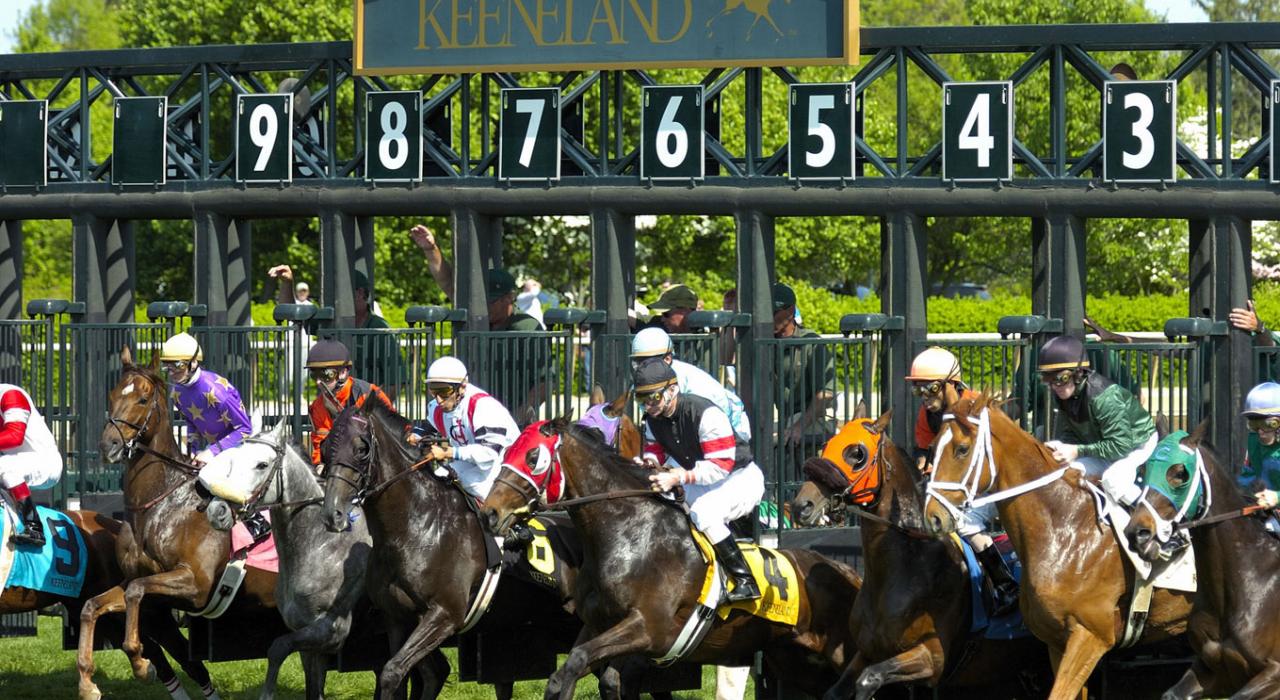 肯塔基州列克星敦市基恩兰赛马场的赛马起点 肯塔基州列克星敦市基恩兰赛马场的赛马起点