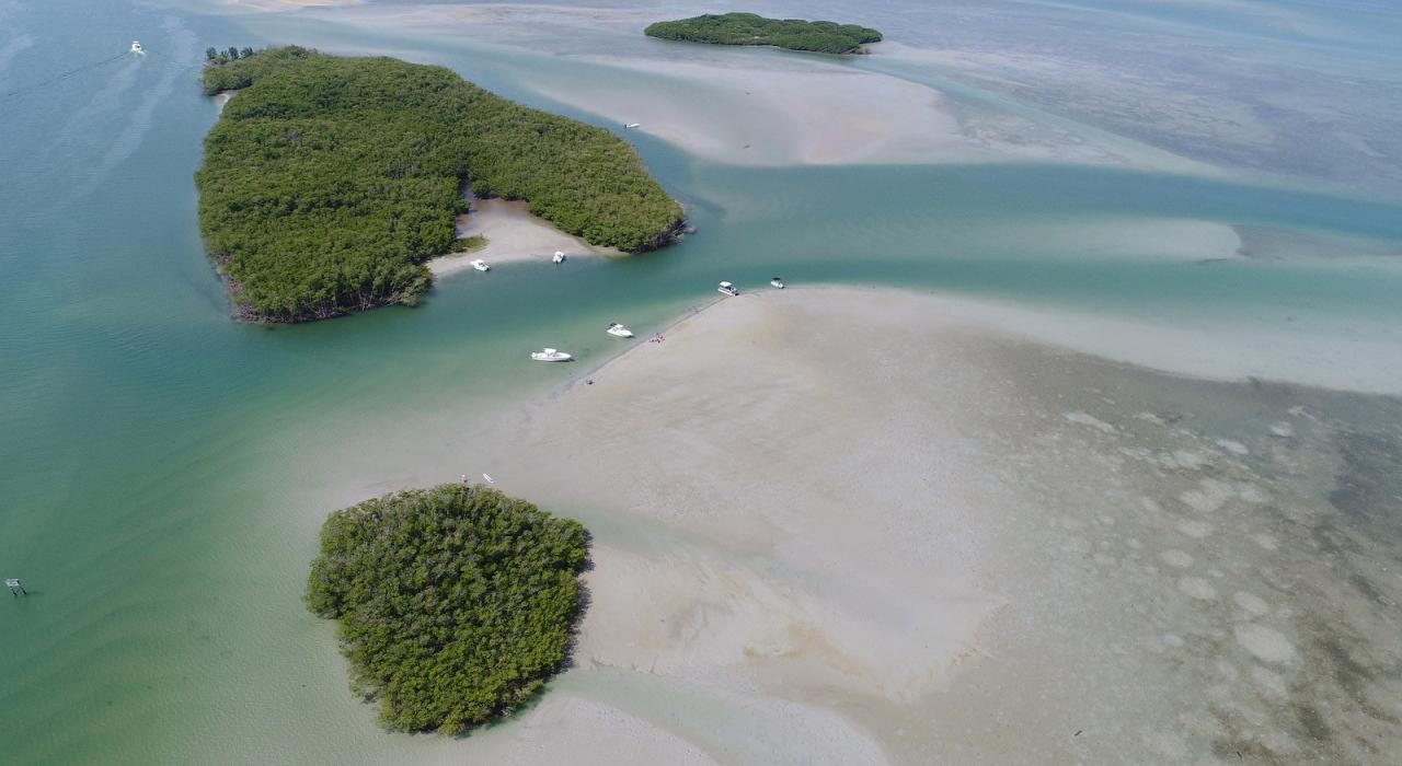 划船者在隐蔽的原生态 Stuart Sandbar 海滩上享受一日美好时光 划船者在隐蔽的原生态 Stuart Sandbar 海滩上享受一日美好时光